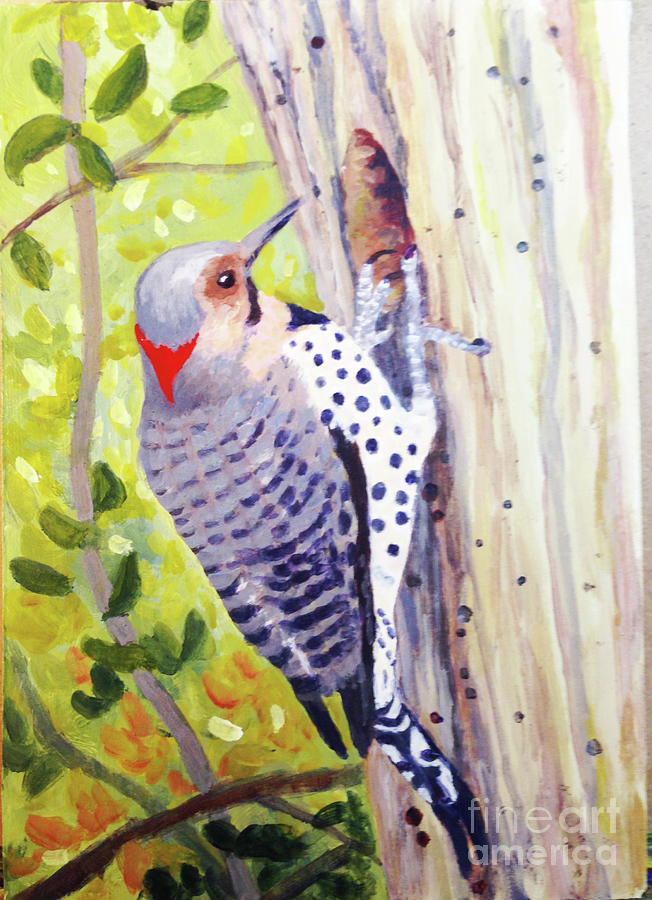Yellow Bellied Sapsucker Painting by Anne Marie Brown