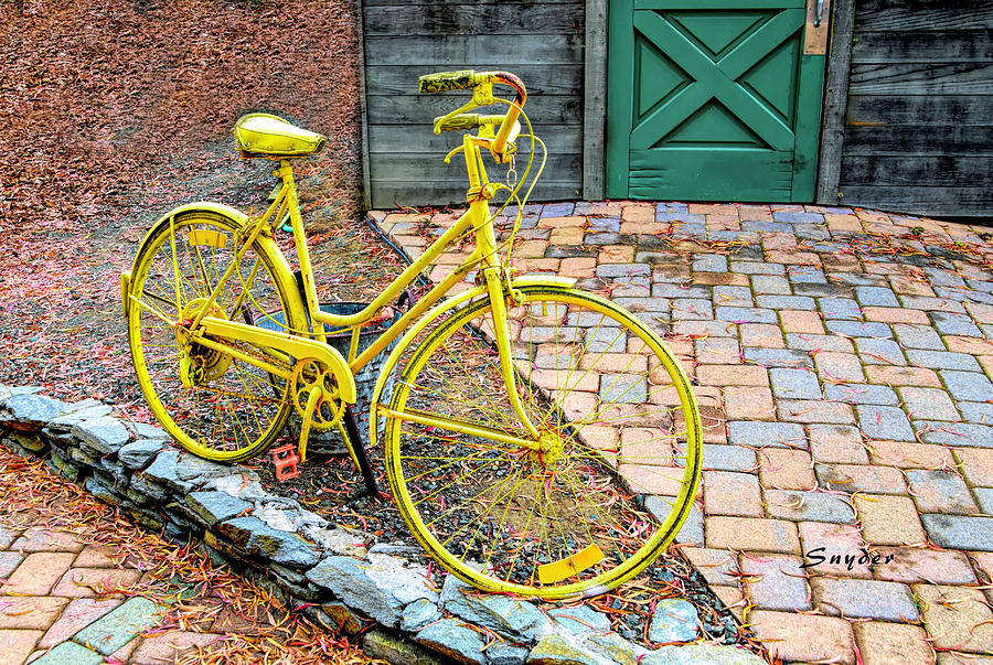 Yellow Bicycle  Photograph by Floyd Snyder