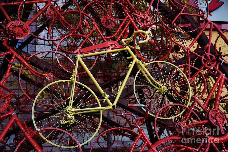 Yellow Bike Photograph by Kae Cheatham