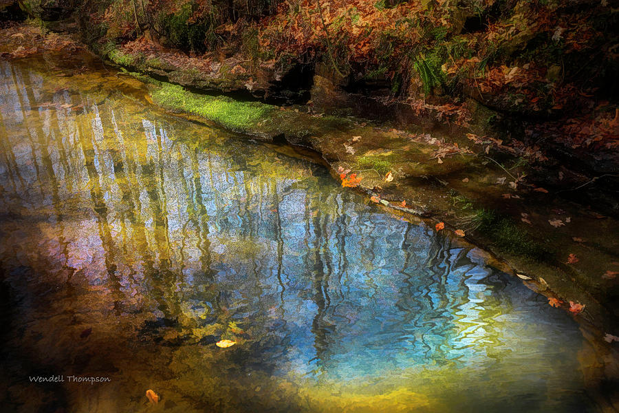 Yellow Birch Ravine Reflections Photograph by Wendell Thompson