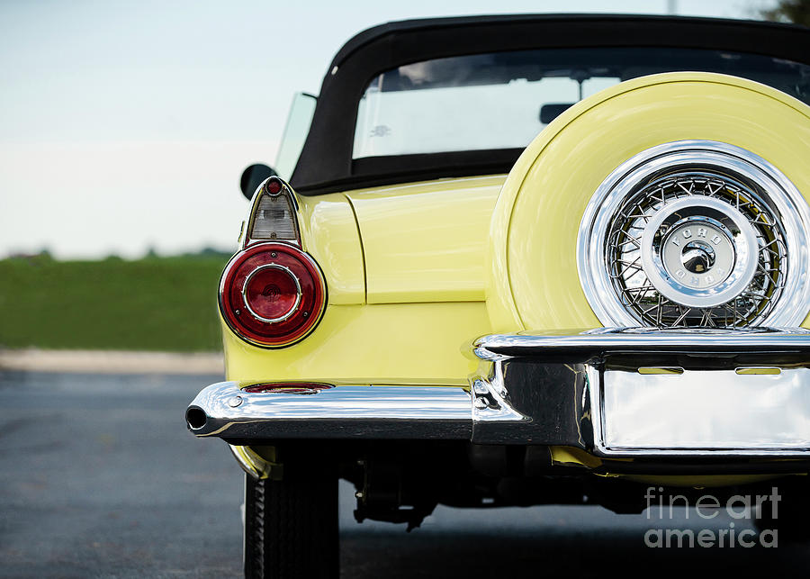 Yellow Bird Photograph by Dennis Hedberg - Fine Art America