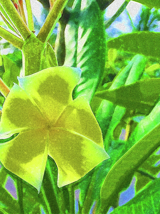 Yellow Blossoms on Bimini Impressionism Digital Art by Island Hoppers Art
