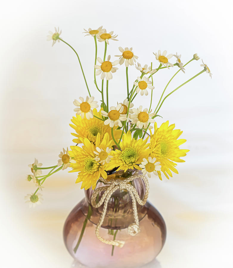 Yellow Bouquet of Sunshine Photograph by Sylvia Goldkranz