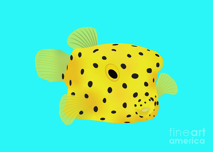 Yellow Box Fish Art Digital Art by David Millenheft
