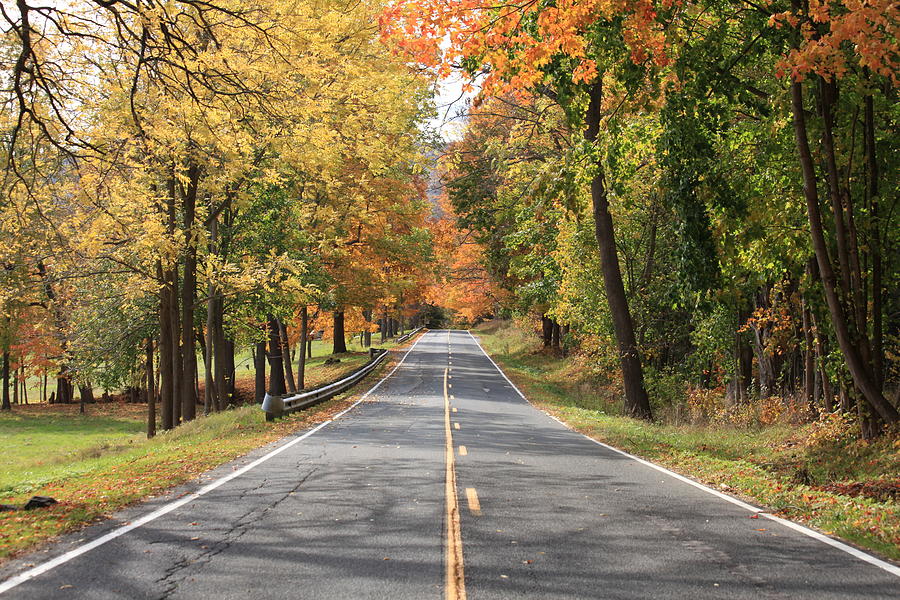 Yellow brick road Photograph by Jedd Nero - Fine Art America