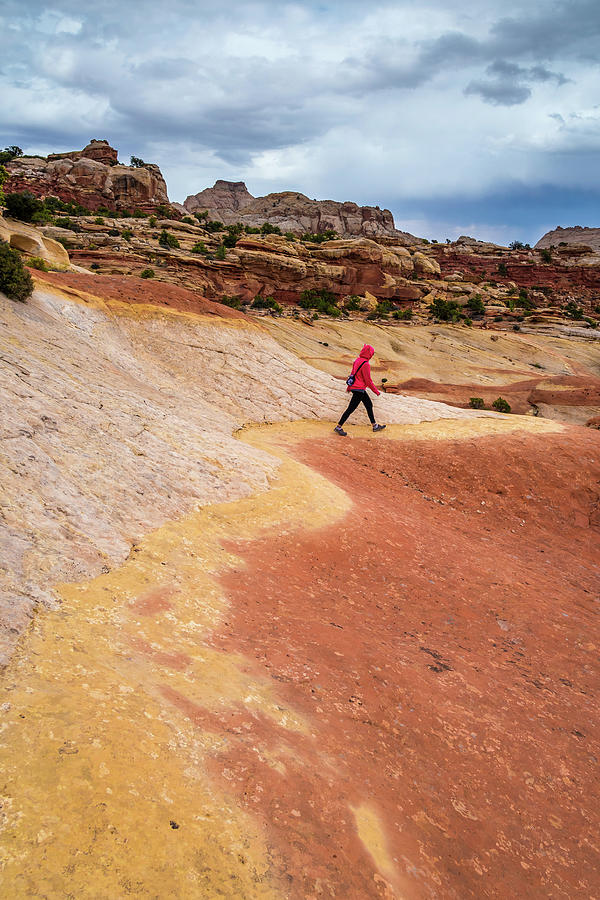 Yellow Brick Road of Capitol Reef Photograph by Pierre Leclerc Photography