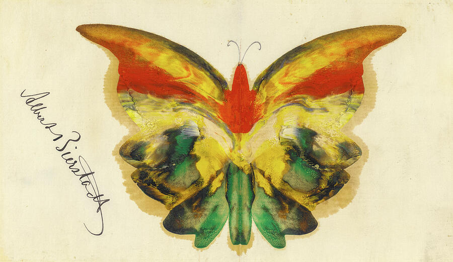 Yellow Butterfly ca 1890 Painting by Albert Bierstadt Yellow Butterfly ca 1890 Painting by Albert Bierstadt