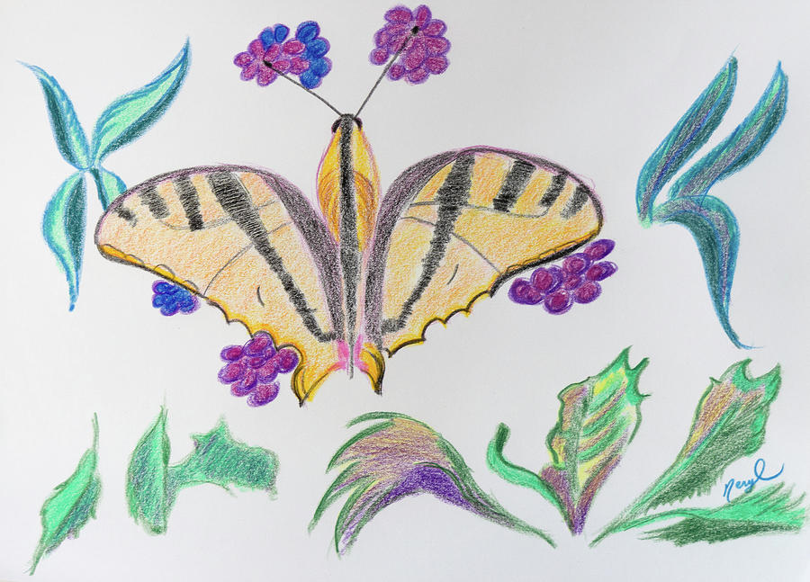 Yellow Butterfly Drawing by Meryl Goudey