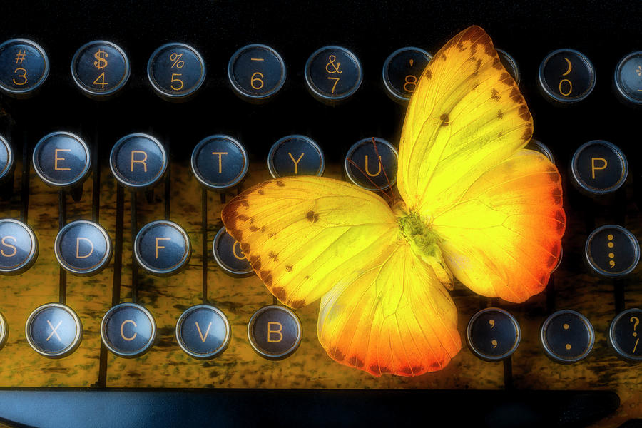 Butterfly Photograph - Yellow Butterfly On Typewriter Keys by Garry Gay
