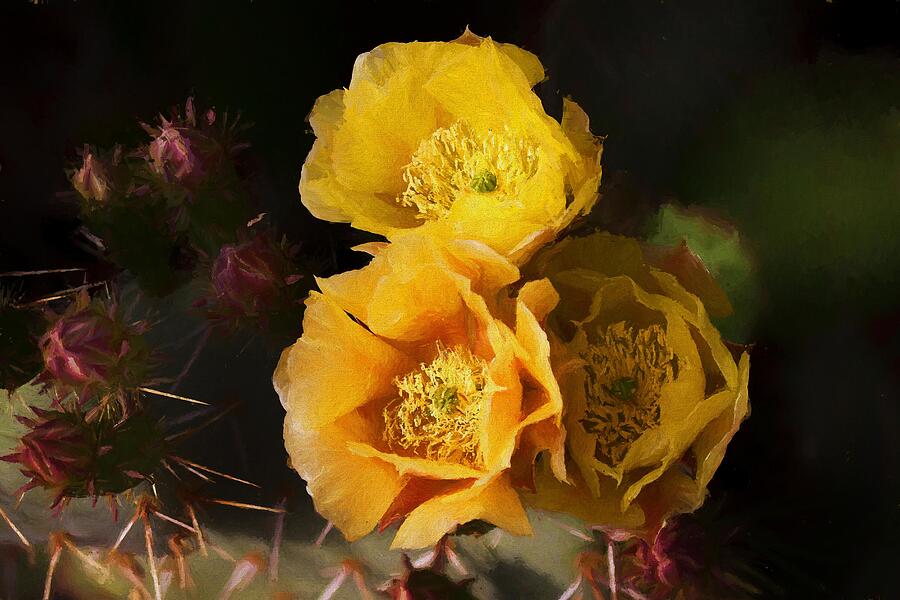Yellow cactus flowers Mixed Media by Tatiana Travelways