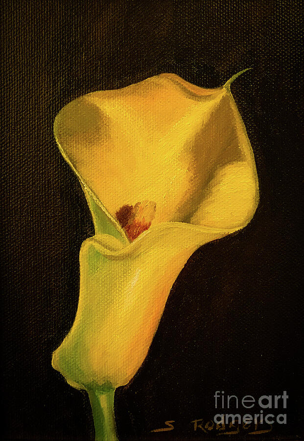 Yellow Calla Lily II Painting by Sherrell Rodgers