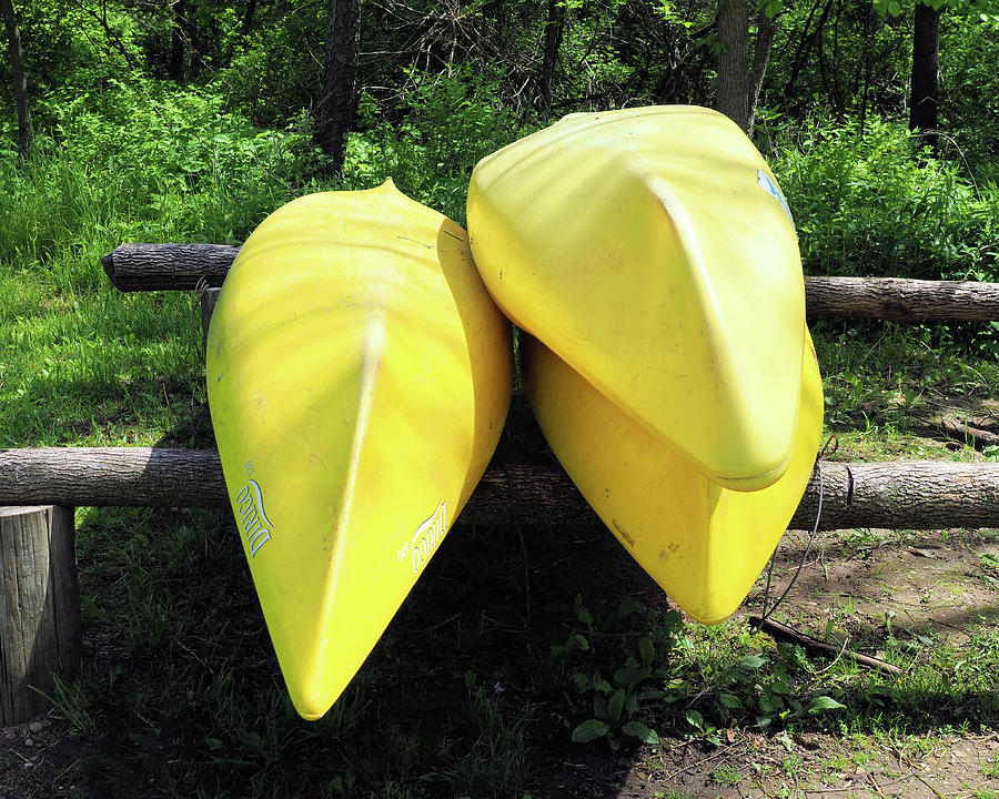Yellow Canoes Photograph by Scott Olsen
