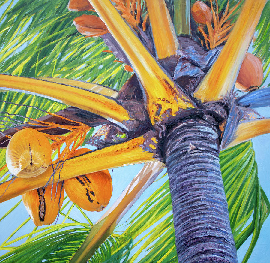 Coconut Bra | Art Print