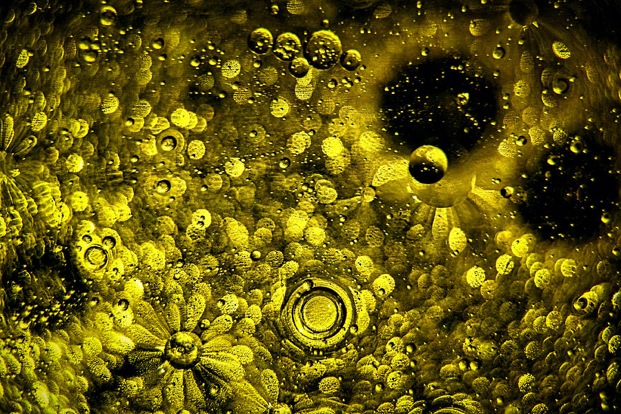 Yellow Cosmic Macro Abstract  Photograph by Stuart Litoff