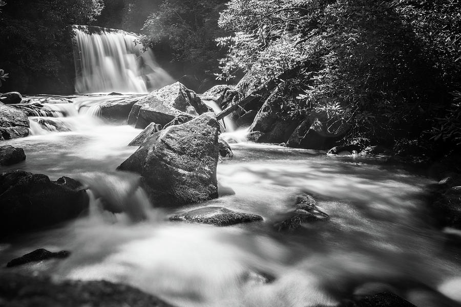 Yellow Creek Falls 2 Photograph by David Hart