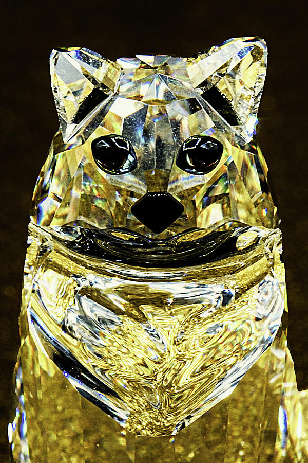 Yellow Crystal Cat Macro Photograph by Stuart Litoff