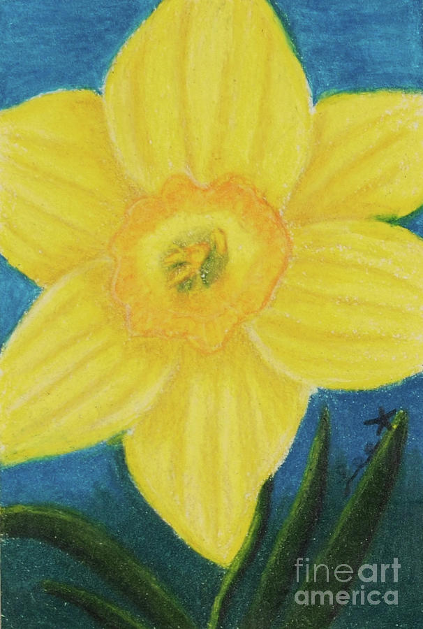 Yellow Daffodil Painting by Dorothy Lee