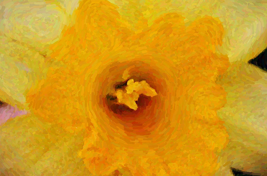 Yellow Daffodil Impressionist Gouache Photograph by Gaby Ethington