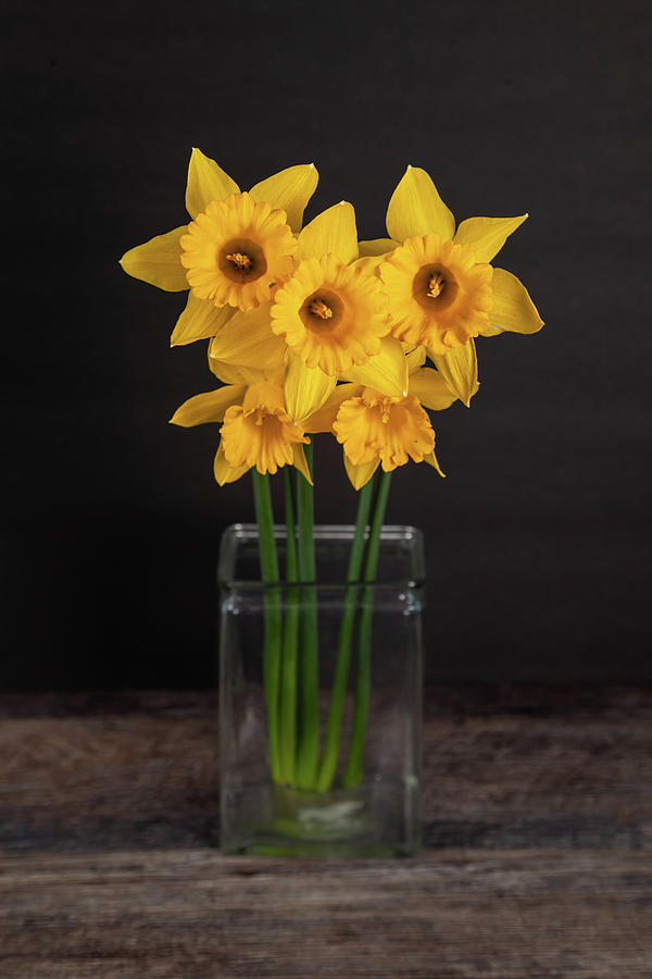 Yellow daffodils in vase Photograph by Katia Kovan - Fine Art America