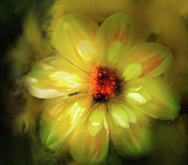 Yellow Daliah Digital Art by Sue Masterson