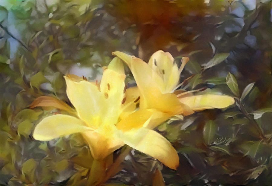 Yellow Day Lilies Impression Painted Digitally Photograph by Sandi OReilly