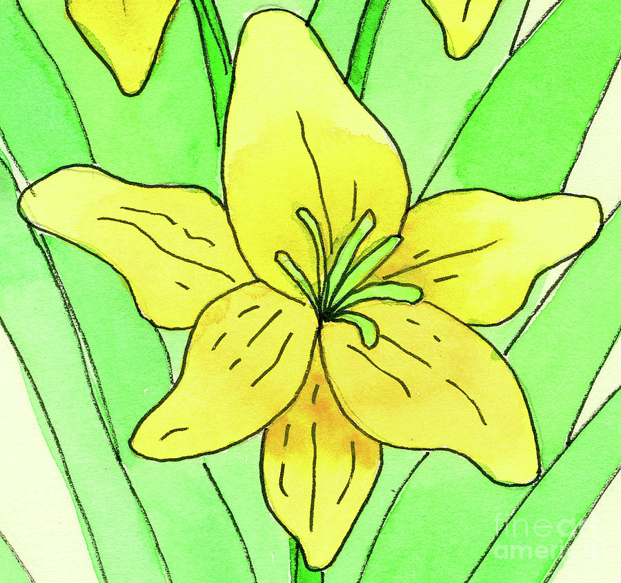 Yellow Day Lily Painting by Norma Appleton