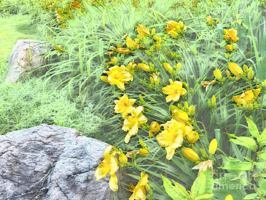 Yellow Daylily Garden Digital Art by Rachel Hannah
