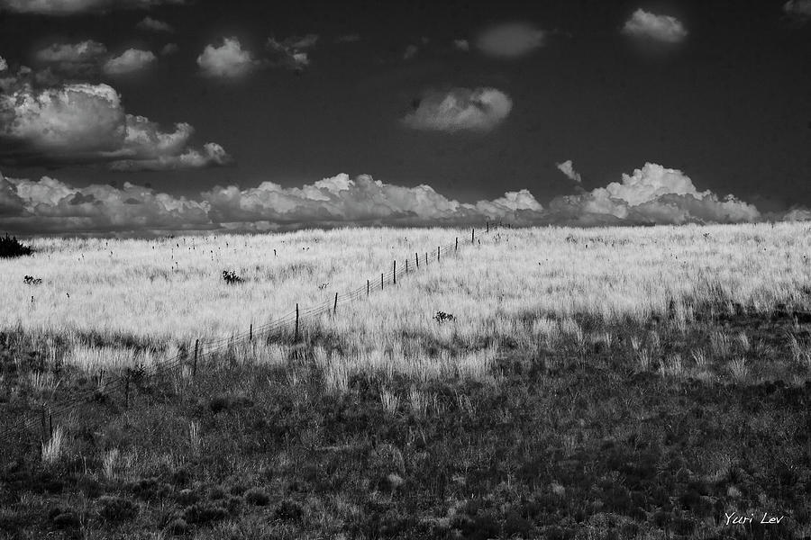 Black And White Photograph - Yellow Field in New Mexico by Yuri Lev