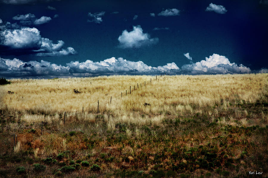 New Mexico Photograph - Yellow Field off NM Rte 14 by Yuri Lev