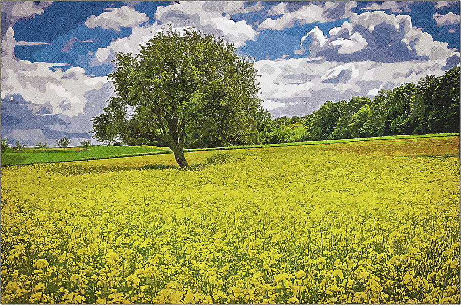 Yellow Field, Vintage Travel Poster By Asar Studios Painting