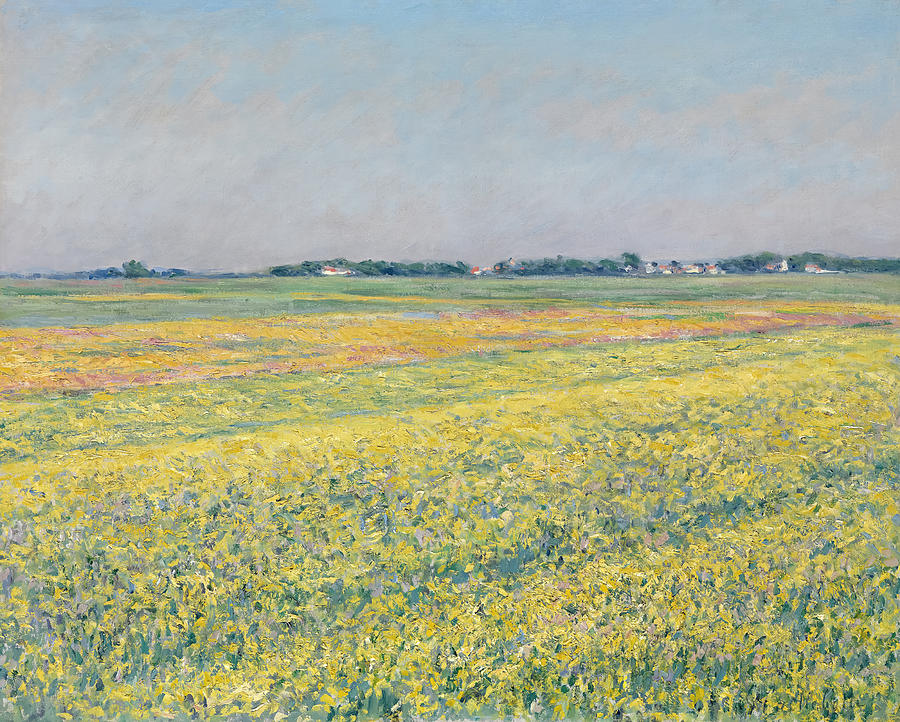 Yellow Fields By Gustave Caillebotte Painting