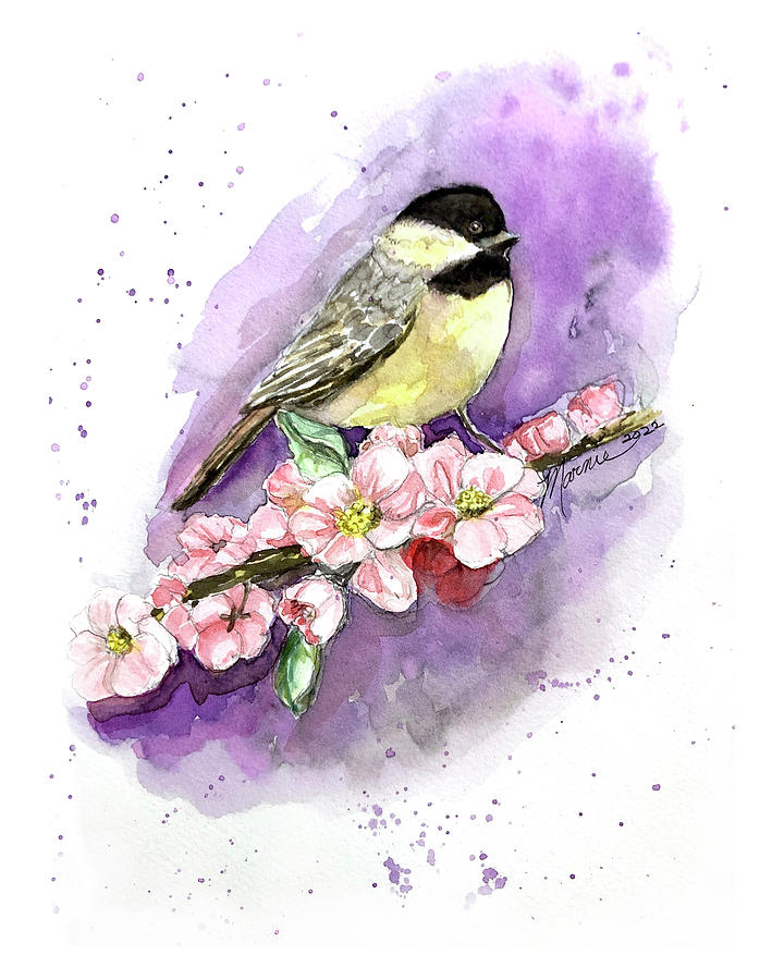 Yellow Finch Drawing by Marnie Clark