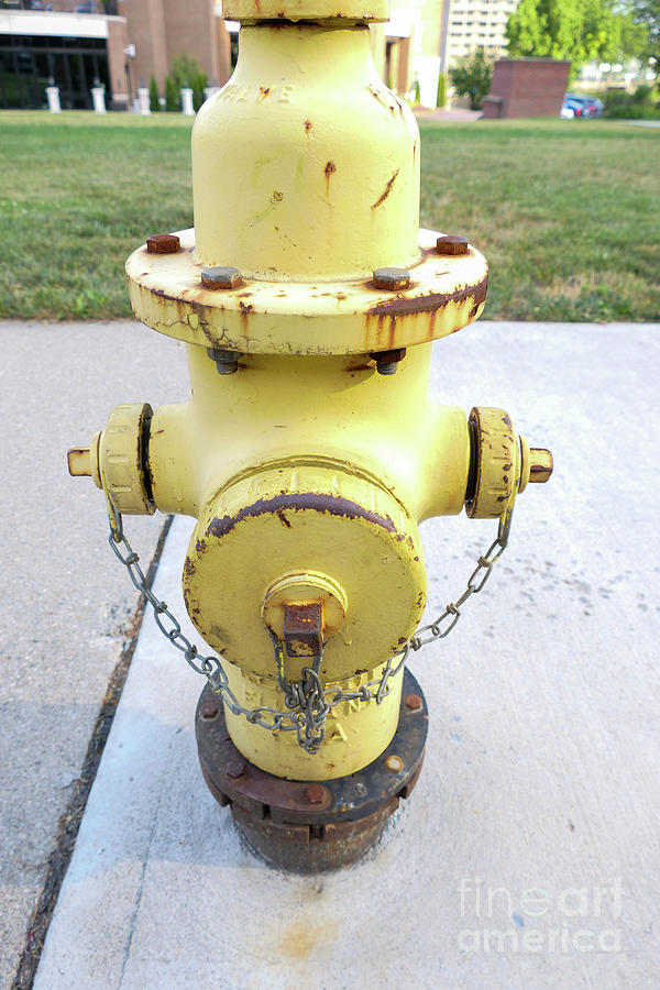 Yellow Fire Hydrant Photograph by Bentley Davis
