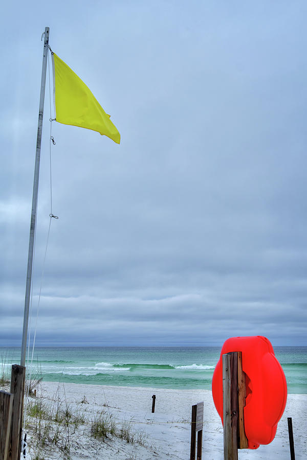 Yellow Flag Photograph by George Taylor