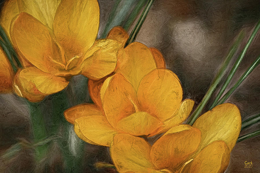 Yellow Flora Pencil Pose Digital Art by Terry Cork