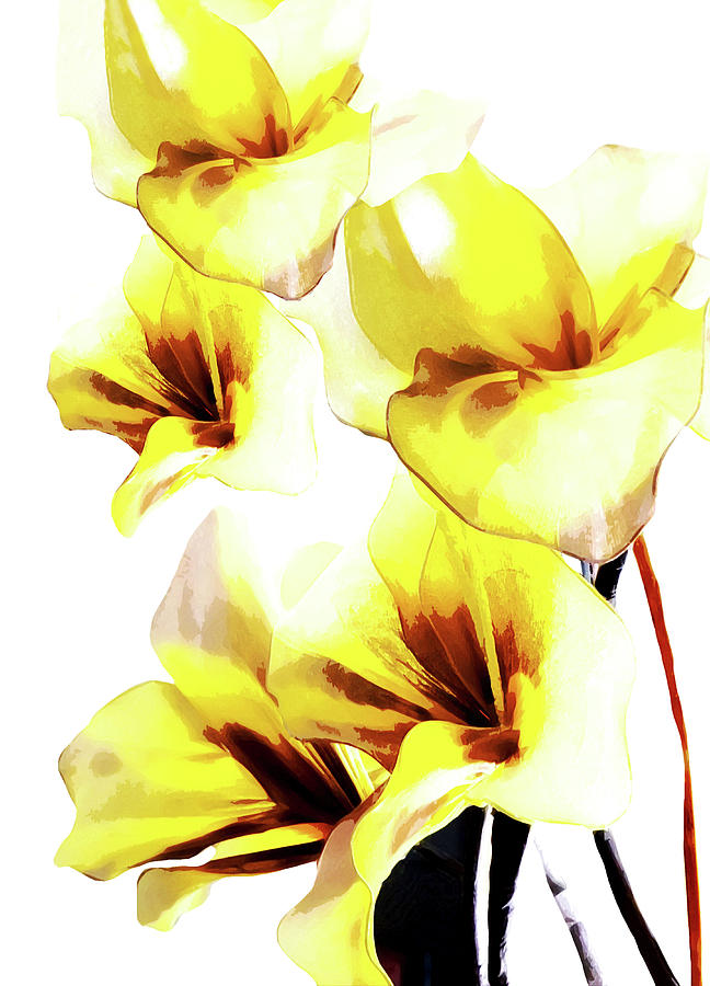 Yellow Floral Design on White Background Mixed Media by Sharon Williams Eng