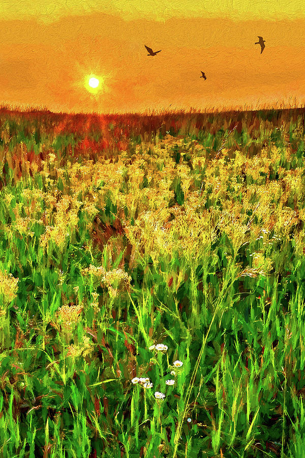 Yellow Flower in a Field at Sunrise ap Painting by Dan Carmichael