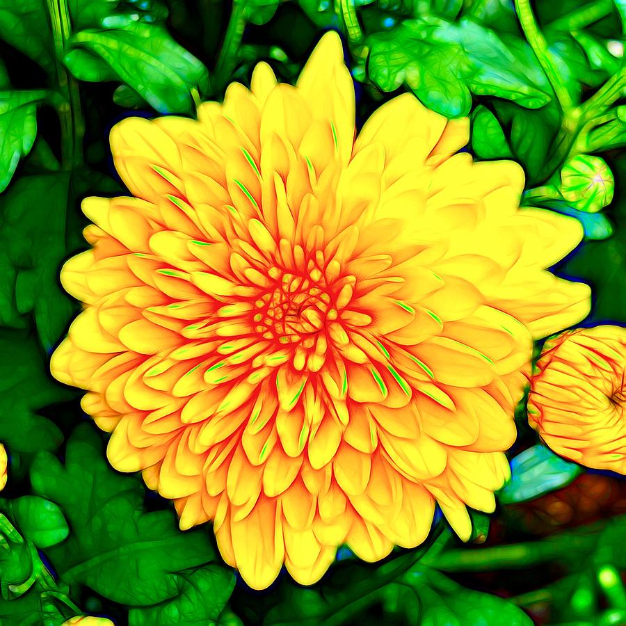 Flower Digital Art - Yellow Flower of Truth and Liberty by Pamela Storch