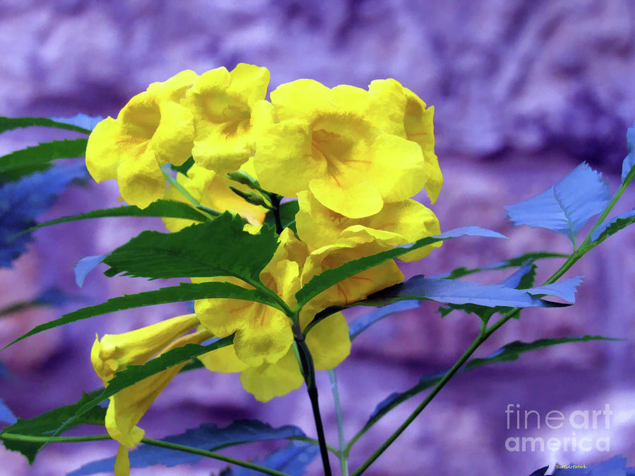 Yellow Flower  Photograph by Roberta Byram