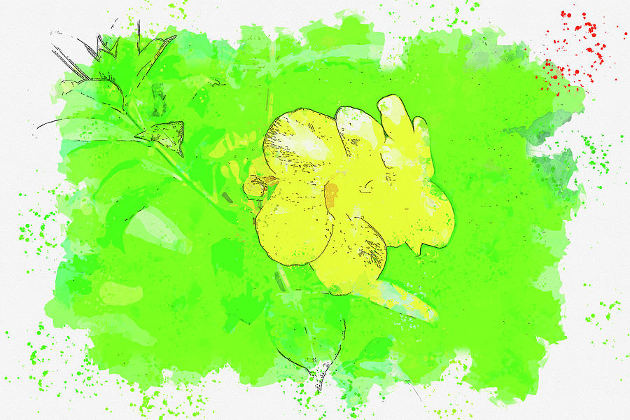 Yellow Flower  - Watercolor Ca 2020 By Ahmet Asar Digital Art