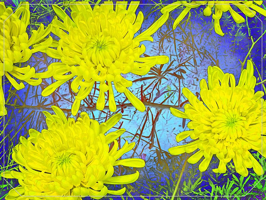 Yellow flowers Digital Art by Kathleen Boyles