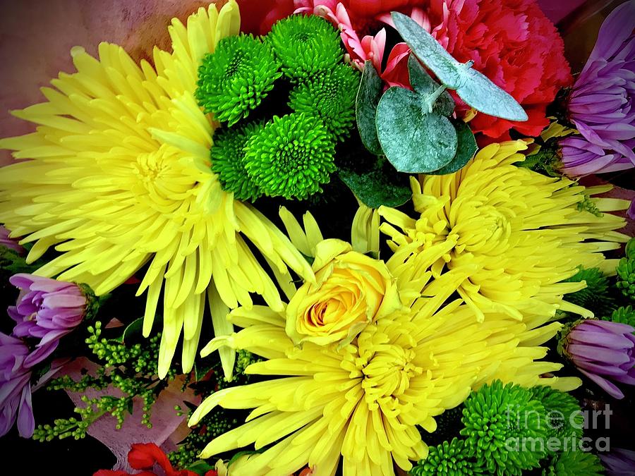 Yellow flowers. Mix 03 Photograph by Sofia Goldberg - Fine Art America