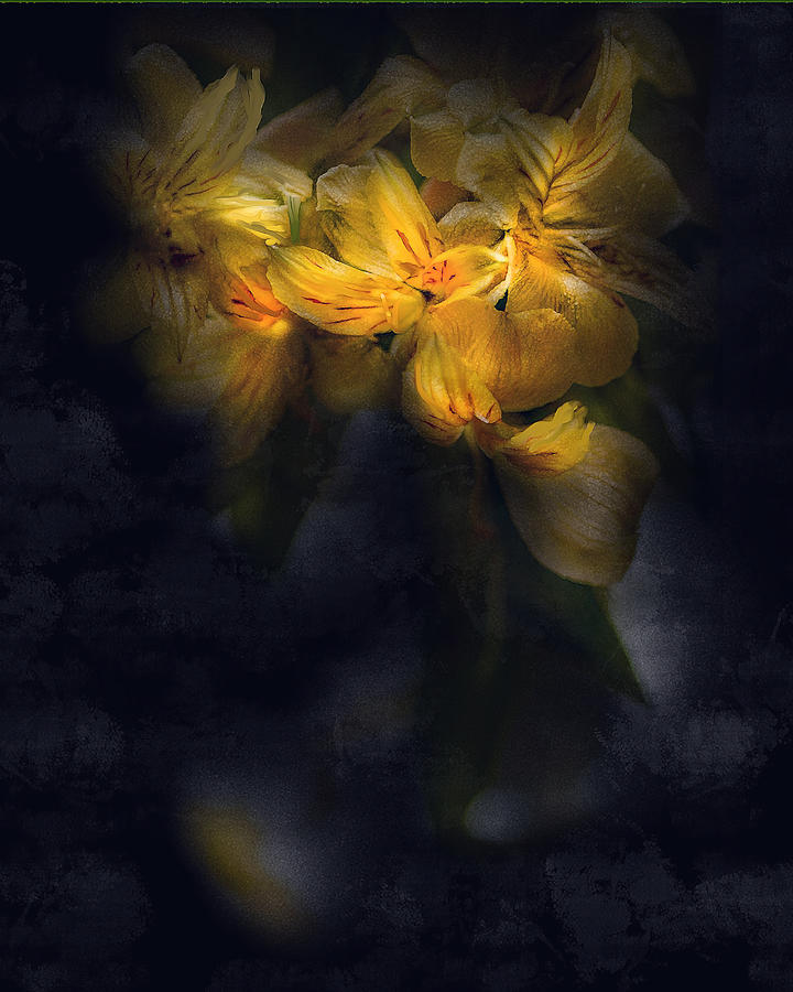 Yellow Flowers Painted On Black Digital Art by Cordia Murphy