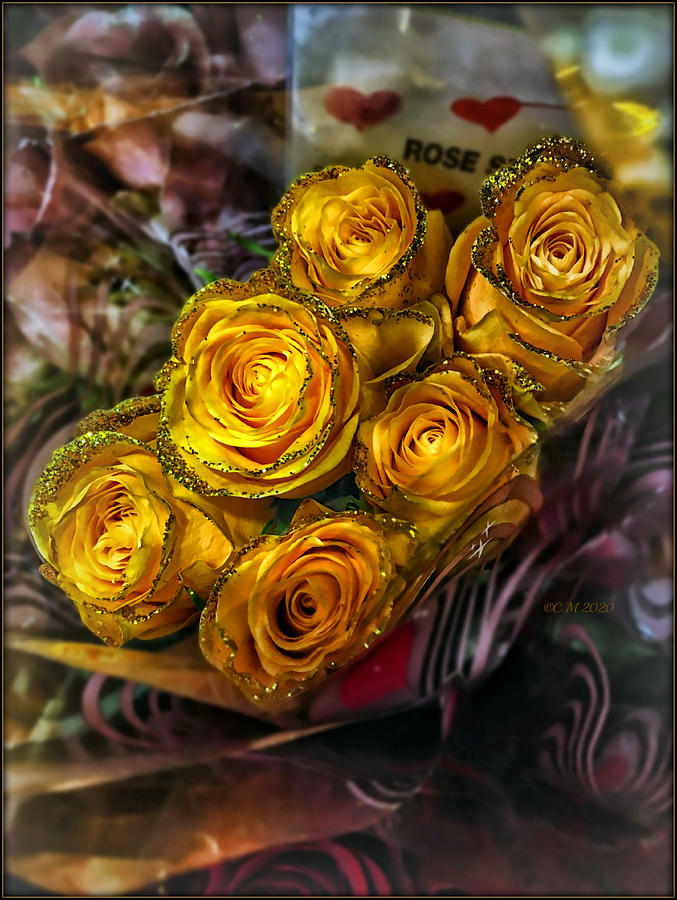 Yellow Glitter Roses Photograph by Catherine Melvin - Fine Art America