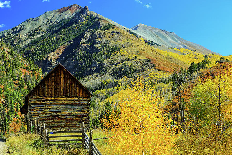 Yellow Gold in Telluride 1 Photograph by James Frazier | Fine Art America