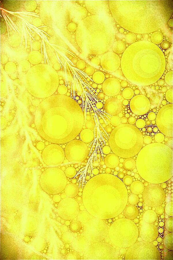 Yellow Grass Circles Abstract Digital Art by Mo Barton