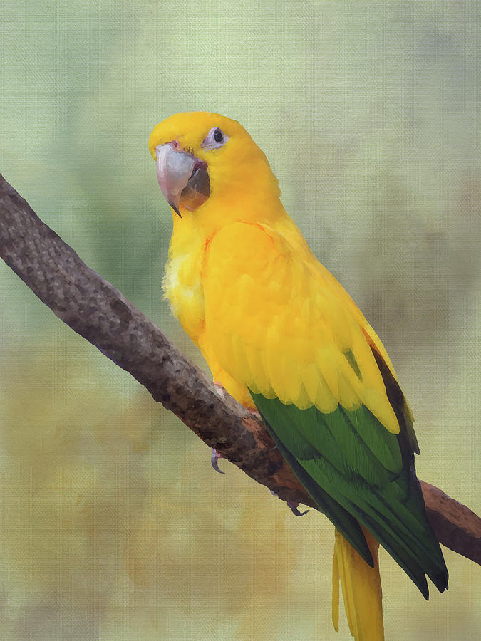 Yellow Green Parrot Bird 82 Mixed Media by Lucie Dumas