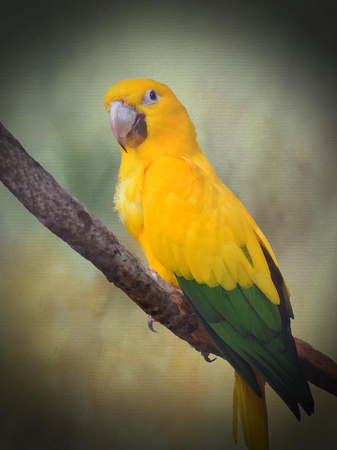 Yellow Green Parrot Bird 85 Mixed Media by Lucie Dumas