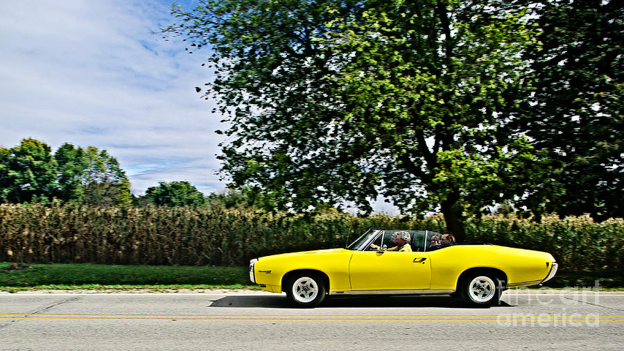 Yellow GTO-Really Looking Fine Photograph by Kathy M Krause