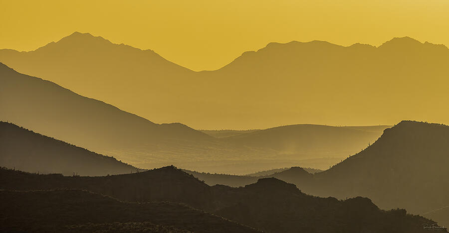 Yellow Haze Photograph by Rick Furmanek